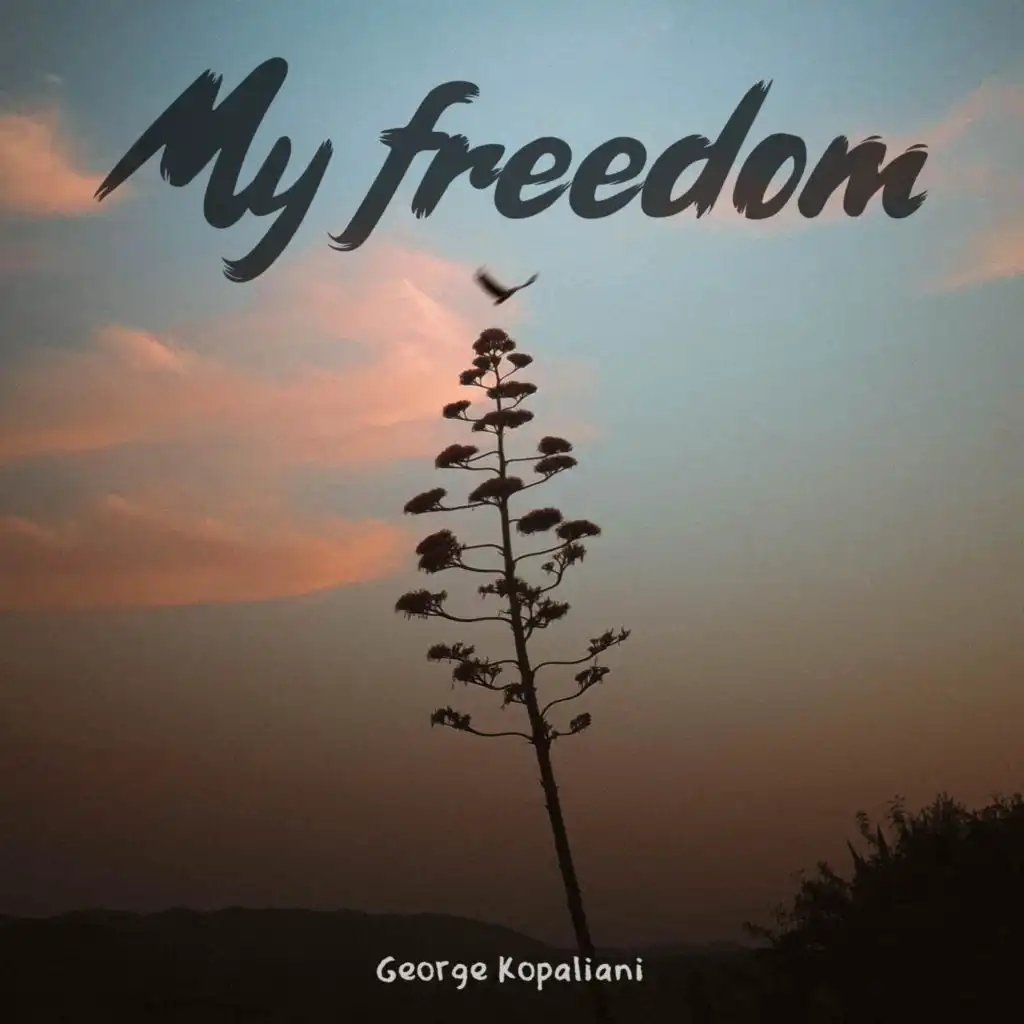 My freedom