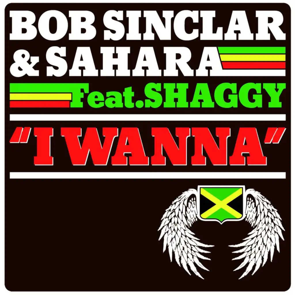 I Wanna (Reggae Album Version) [feat. Shaggy]