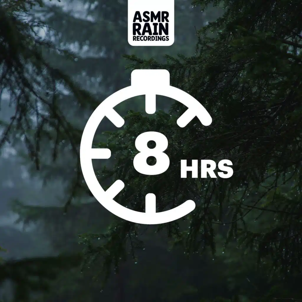 Forest Rainfall for Focus: Intense Woods Ambiance