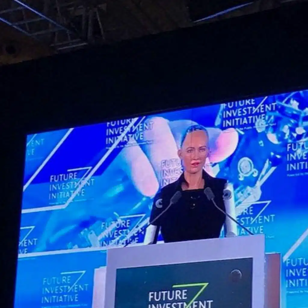 Artificial Intelligence and Development in MENA: Inclusion or Inequality?