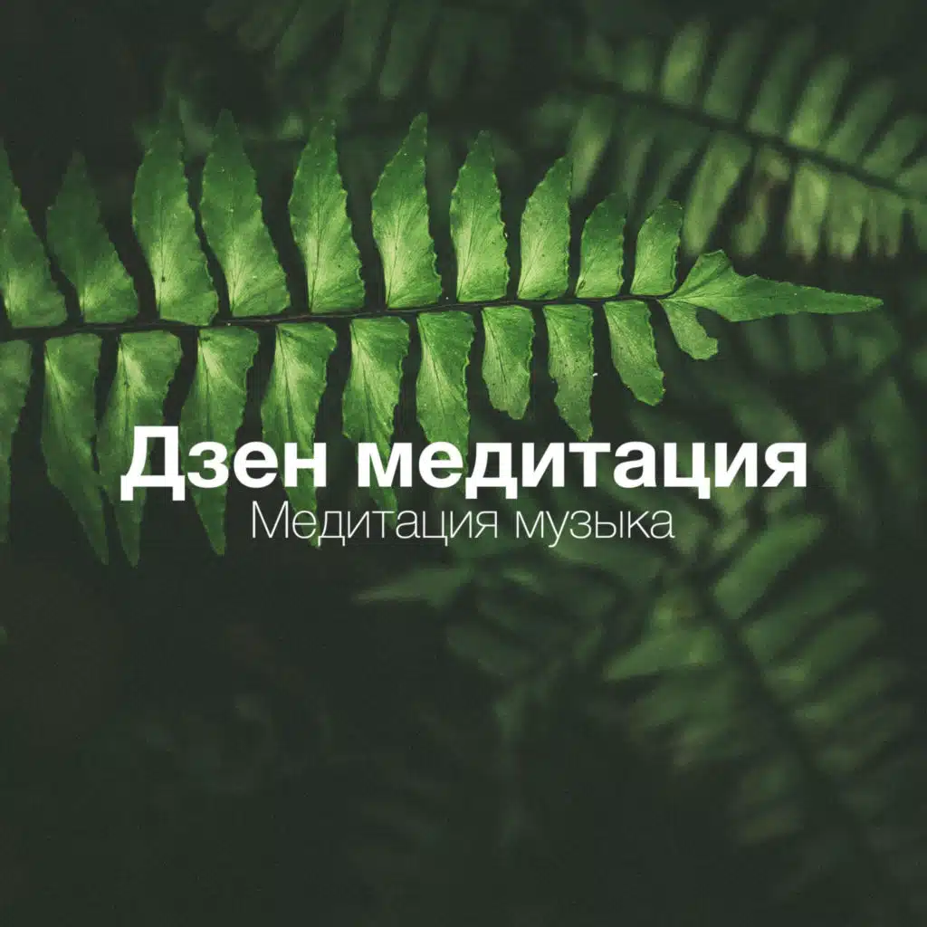 Японские песни: Медитация музыка, Дзен медитация, Как снять стресс, Колыбельные песни