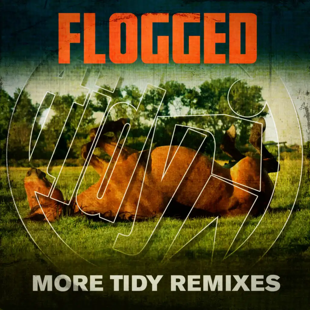 Such A Good Feelin (The Freak Brothers Remix)