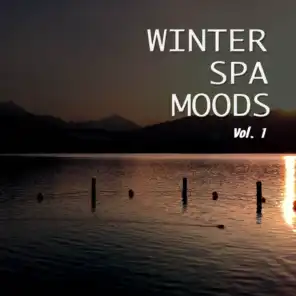 Winter Spa Moods, Vol. 1 (Favorite Chill out and Relax Tunes for Spa & Wellness)