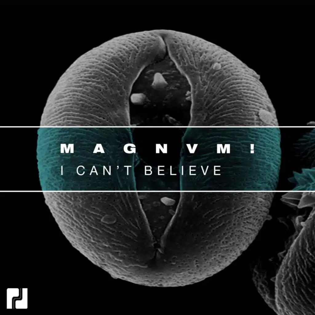 Filthy French & MAGNVM!