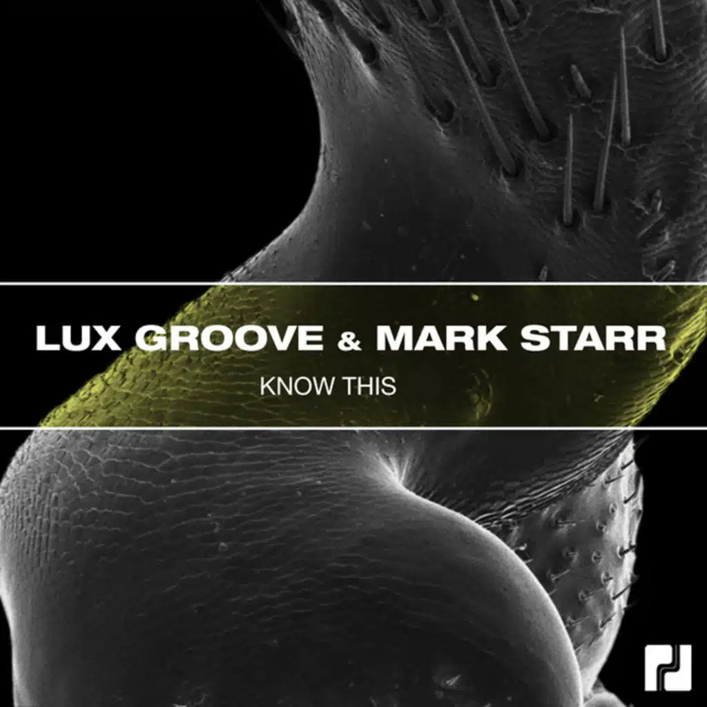 Lux Groove, Mark Starr