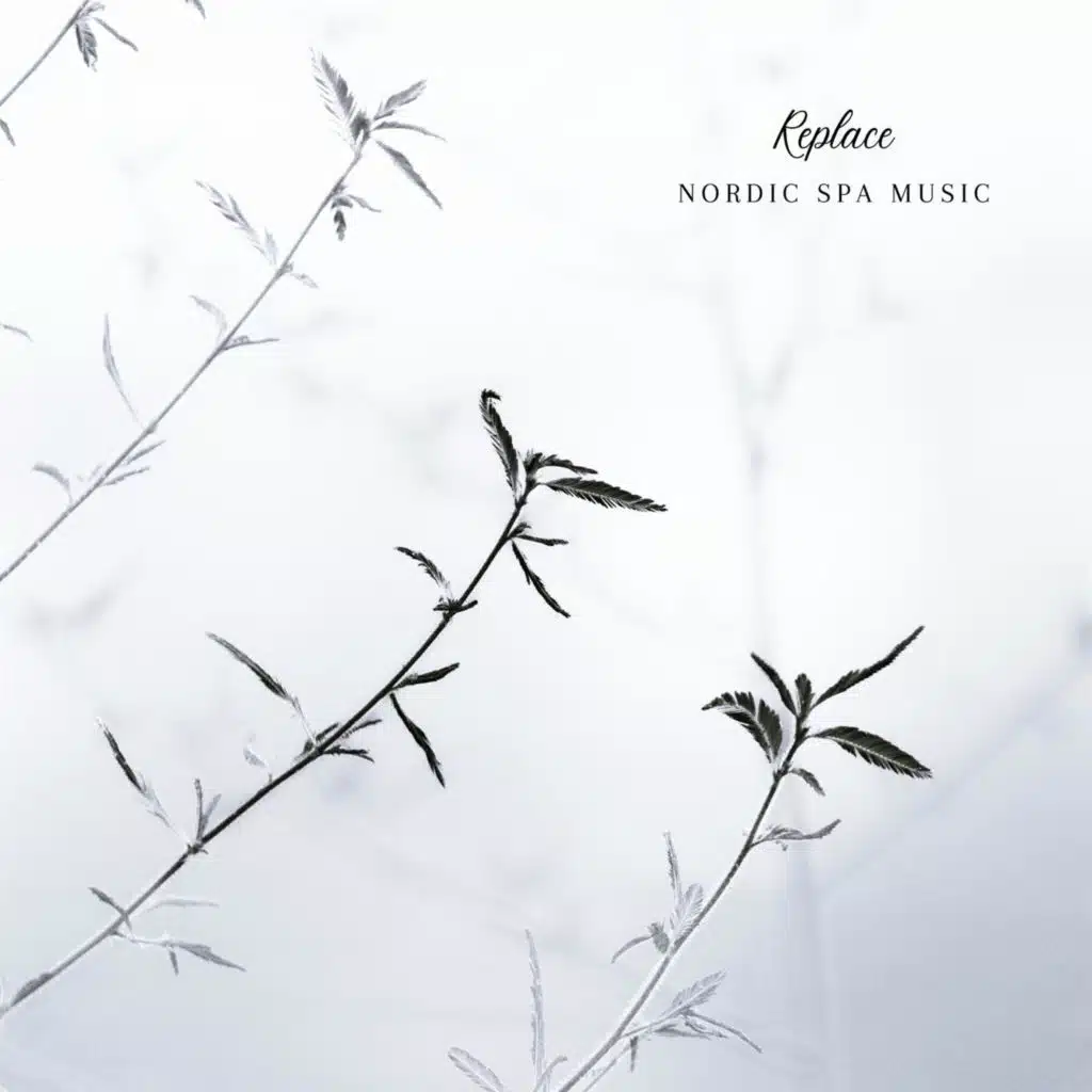 Nordic Spa Music