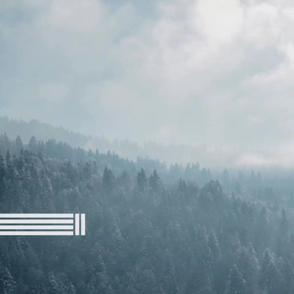 Floresta Calmante (Loop)