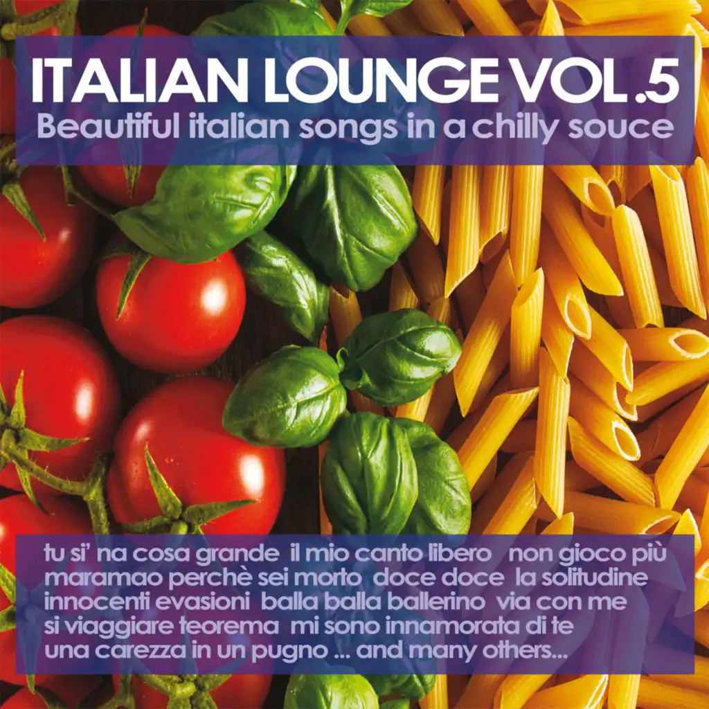 Italian Lounge Vol. 5 (Beautiful Italian Songs in a Chilly Sauce)