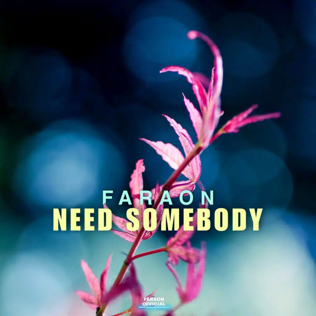 Need Somebody