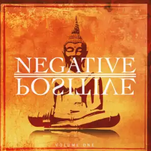 Negative Positive, Vol. 1 (Get Your Yin & Yang Harmonized)