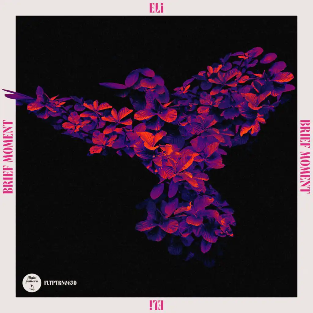 Brief Moment EP
