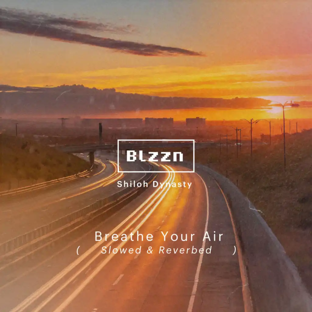 Trust NoBuddy (Slowed & Reverbed)