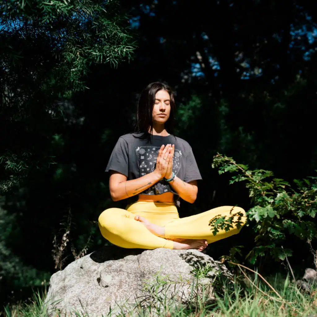 Mindful Serenity in Zen's Touch