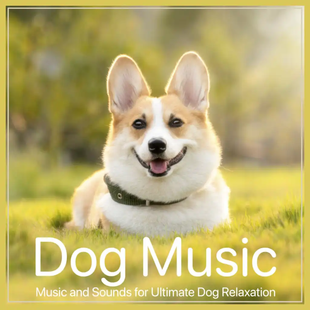 Dog Music: Music and Sounds for Ultimate Dog Relaxation