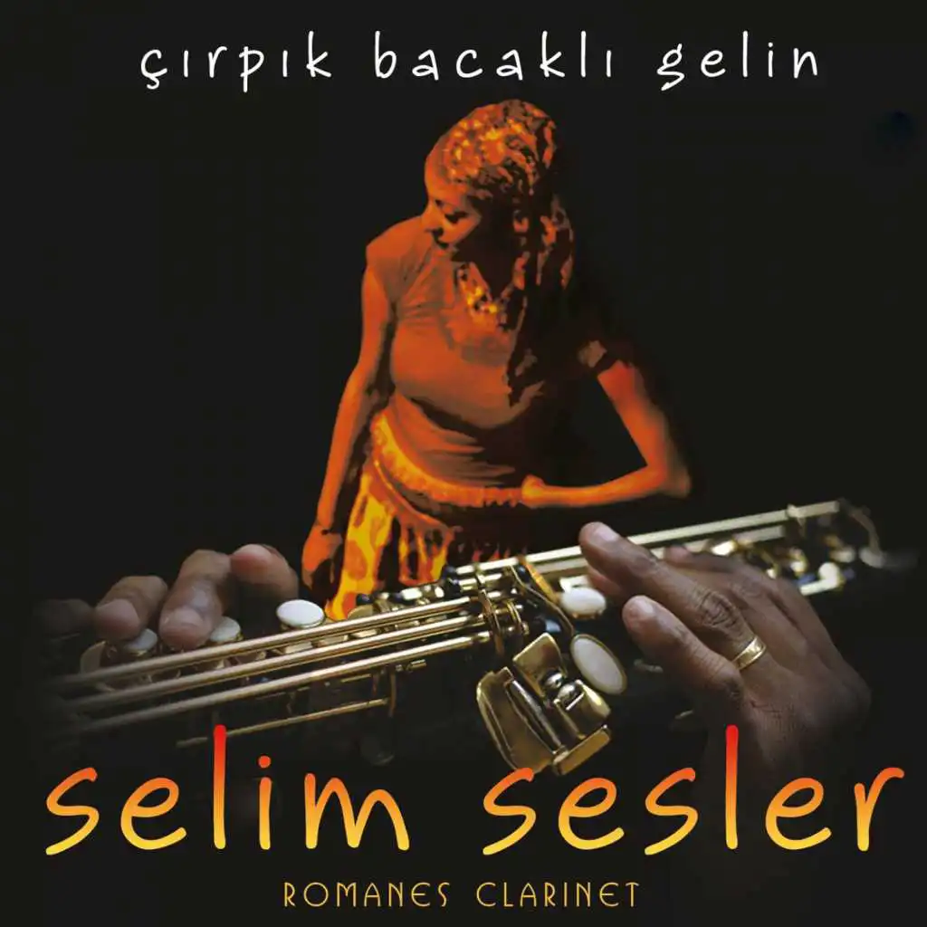 Selim Sesler