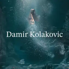 Damir Kolakovic