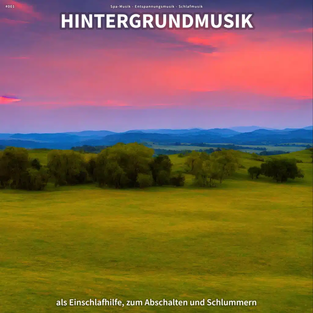 Spa-Musik, Entspannungsmusik & Schlafmusik