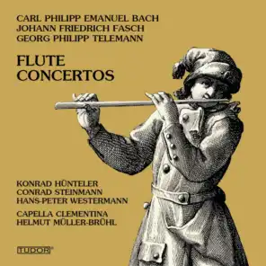 Concerto for Recorder & Flute in E Minor, TWV 52:e1: II. Allegro
