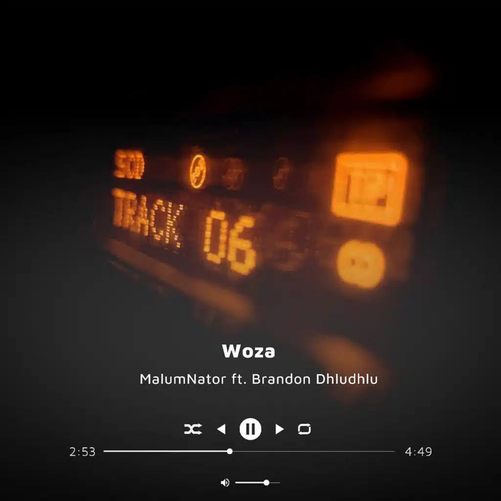 Woza (feat. Brandon Dhludhlu)