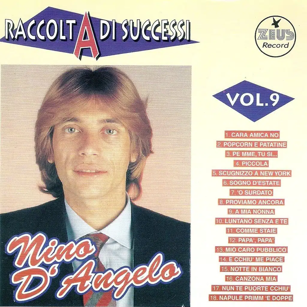 Raccolta di successi, vol. 9 (The Best of Nino D'Angelo Collection)