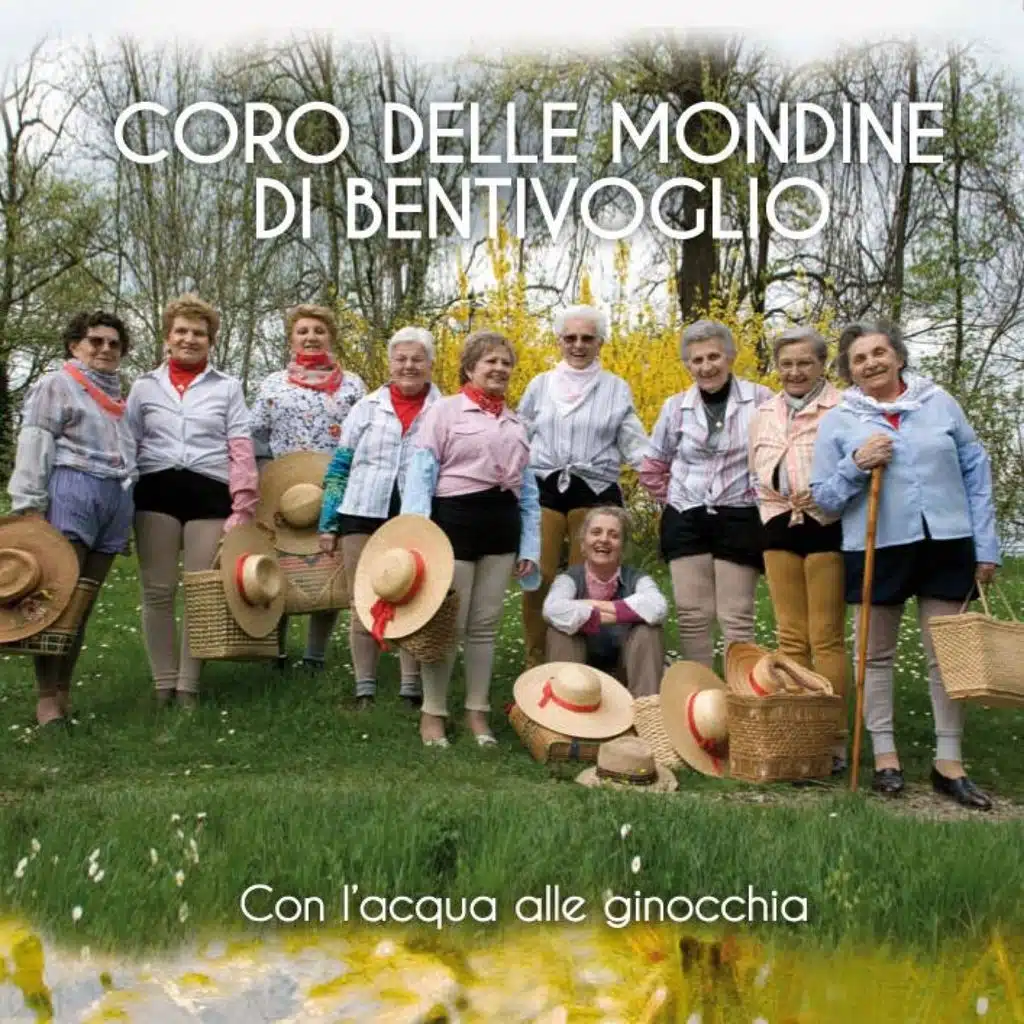 Un mazzo di mimosa