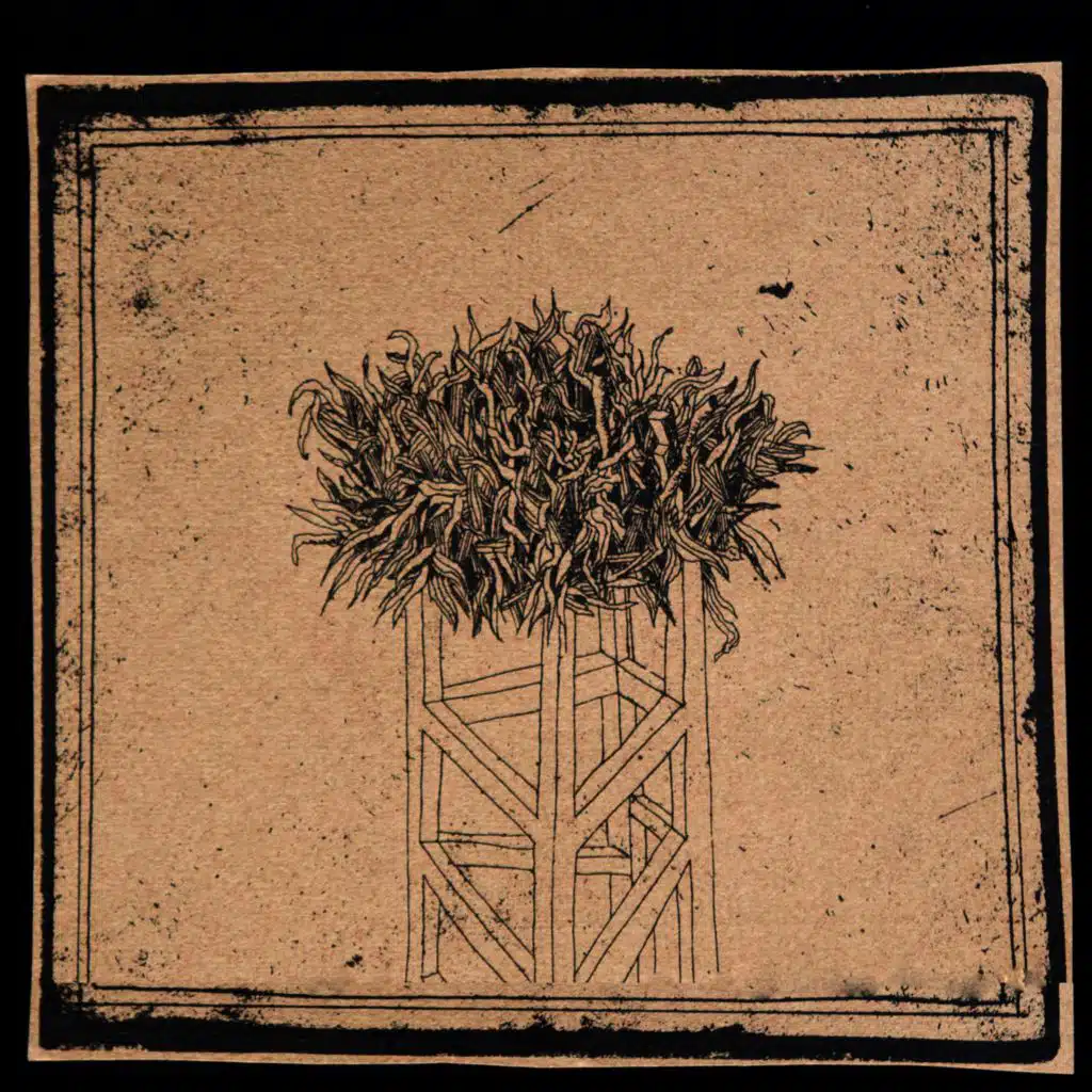 Roots and Leaves