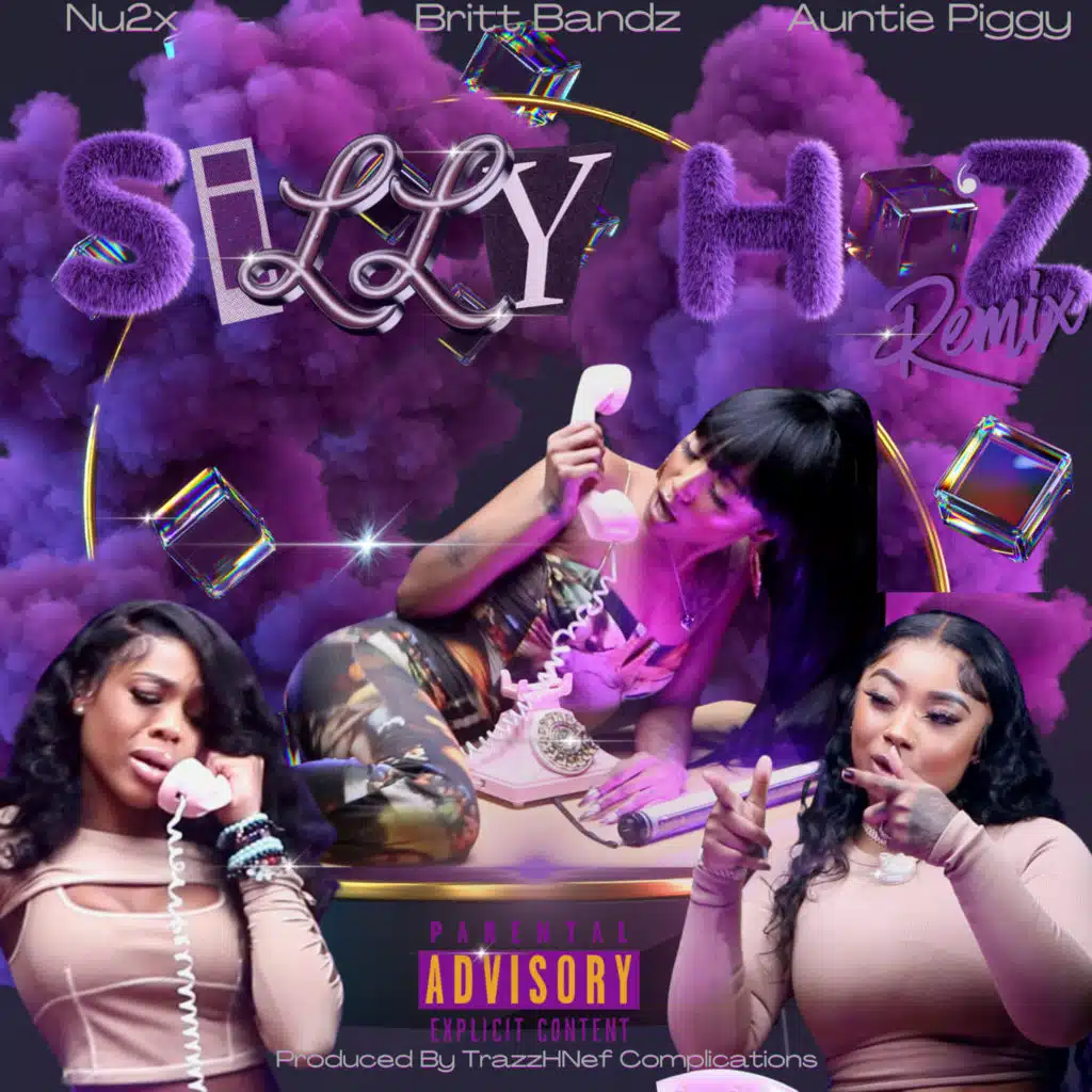Silly Ho'z (Remix) [feat. Auntie Piggy & Nu2x]