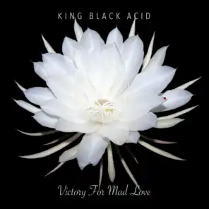 King Black Acid