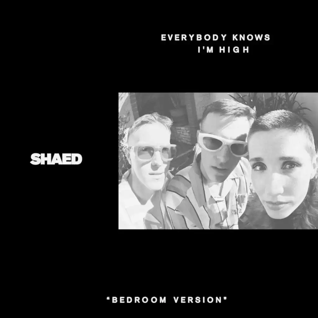 Everybody Knows I'm High (bedroom version)