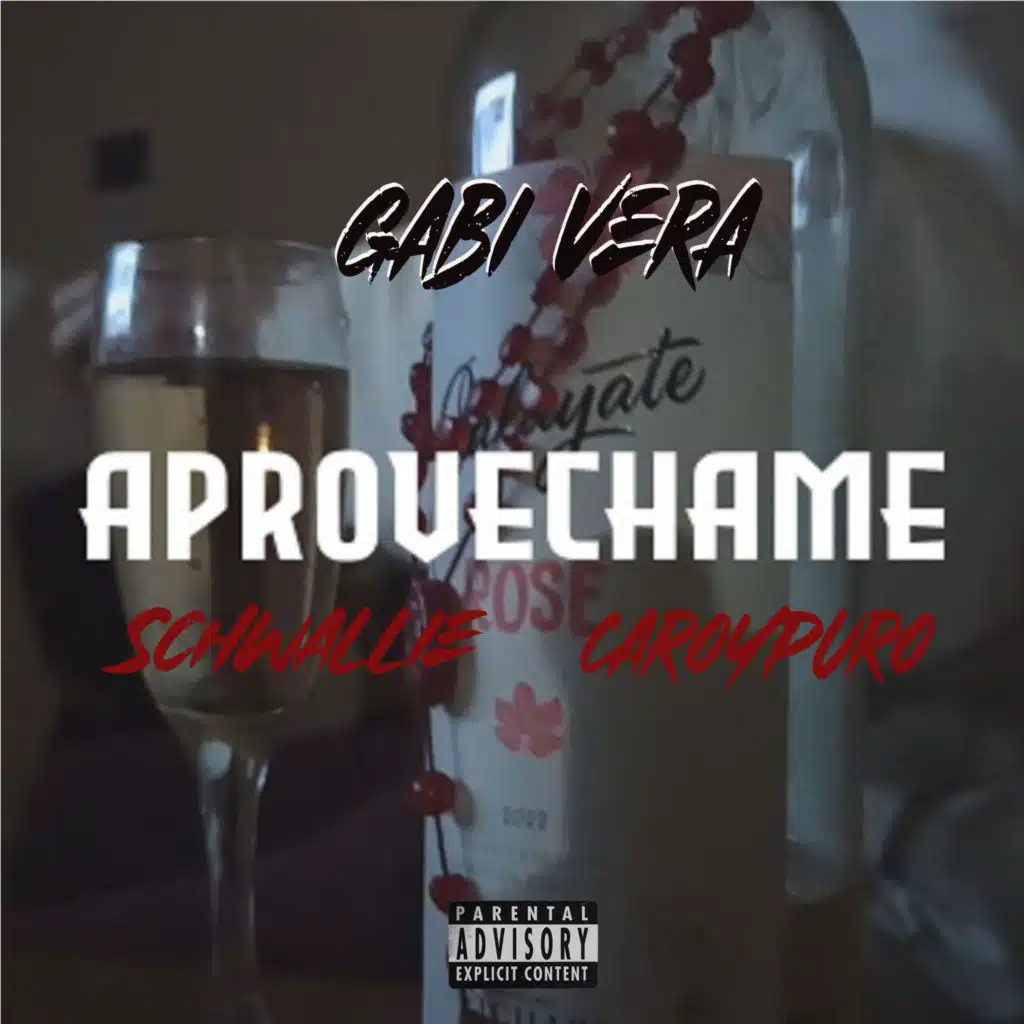 Aprovéchame (feat. Schwallie & Caro&Puro)