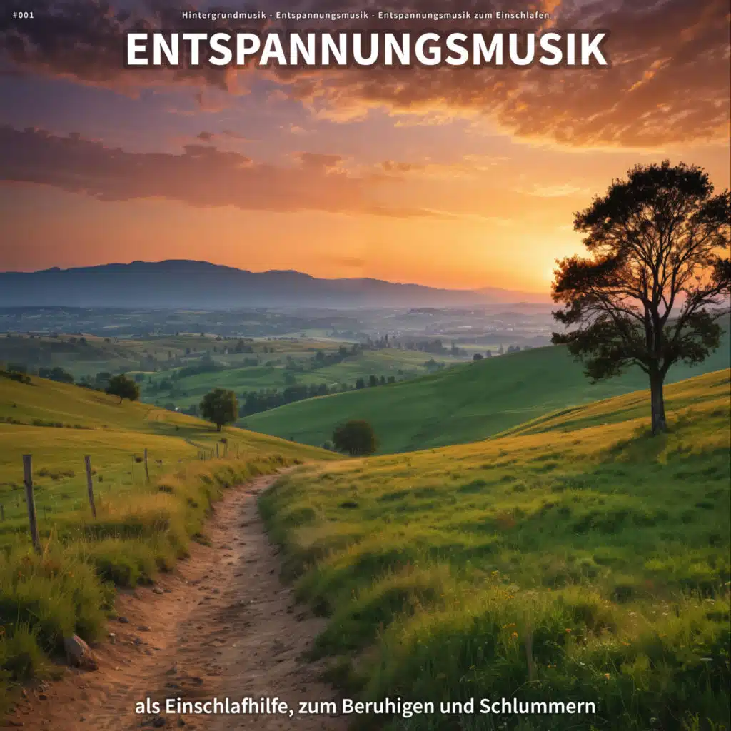 Vergnügen im Wind