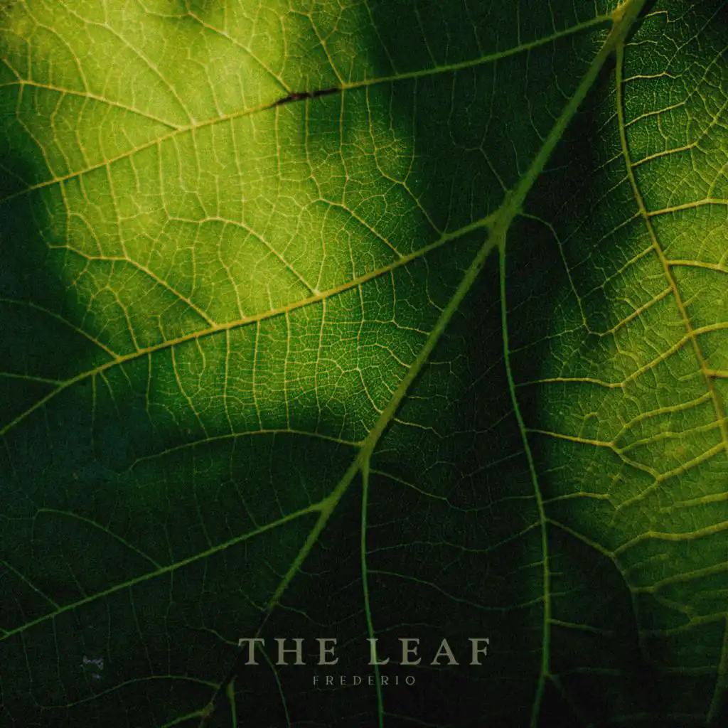 The Leaf