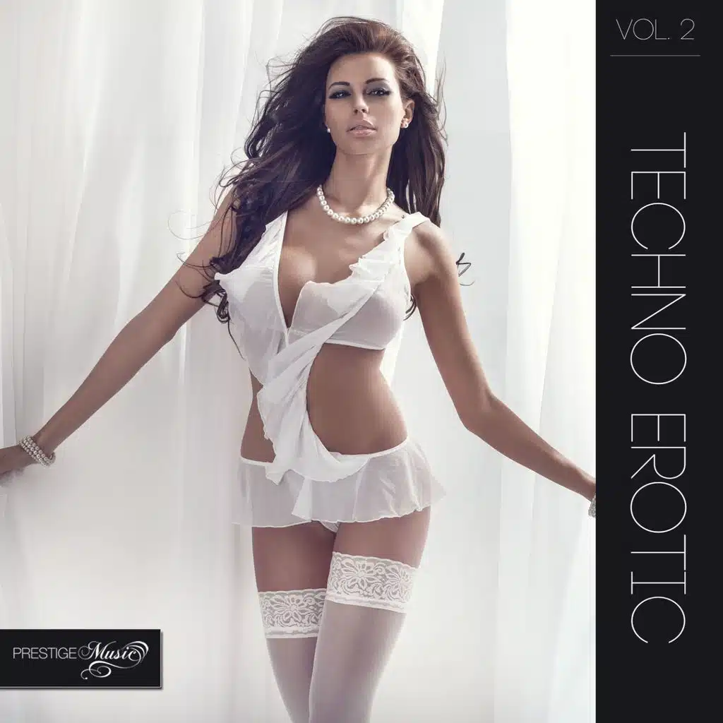 Techno Erotic, Vol. 2