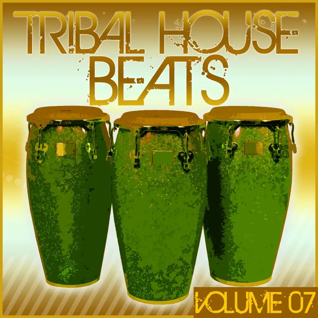Tribal House Beats, Vol. 07