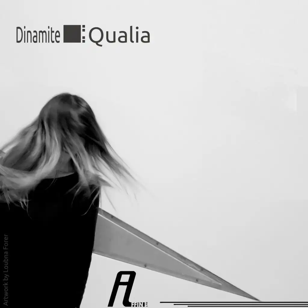 Qualia (d_func. Remix)