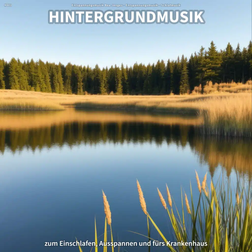 Entspannungsmusik Bea Jenges, Entspannungsmusik & Schlafmusik