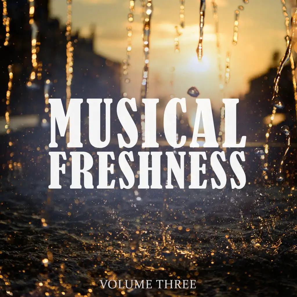 Musical Freshness, Vol. 3 (Awesome Selection Of Groovy Dance Music)