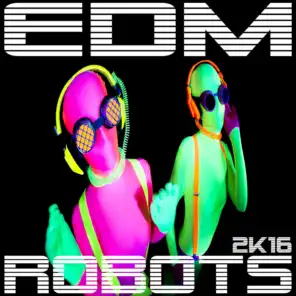 EDM Robots 2K16