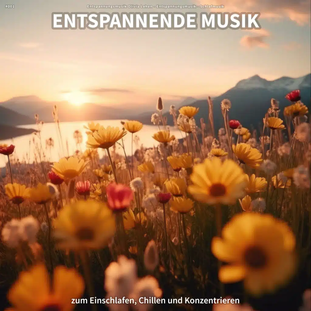 #001 Entspannende Musik zum Einschlafen, Chillen und Konzentrieren