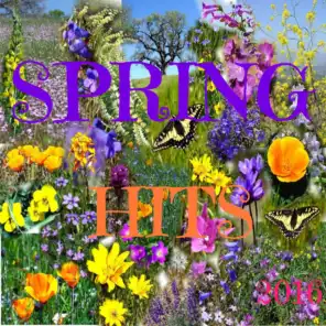 Spring Hits 2016 (Original and Remix Version Hits 2016)