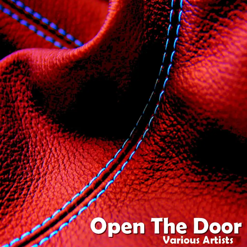 Open the Door (Dariush Mix)
