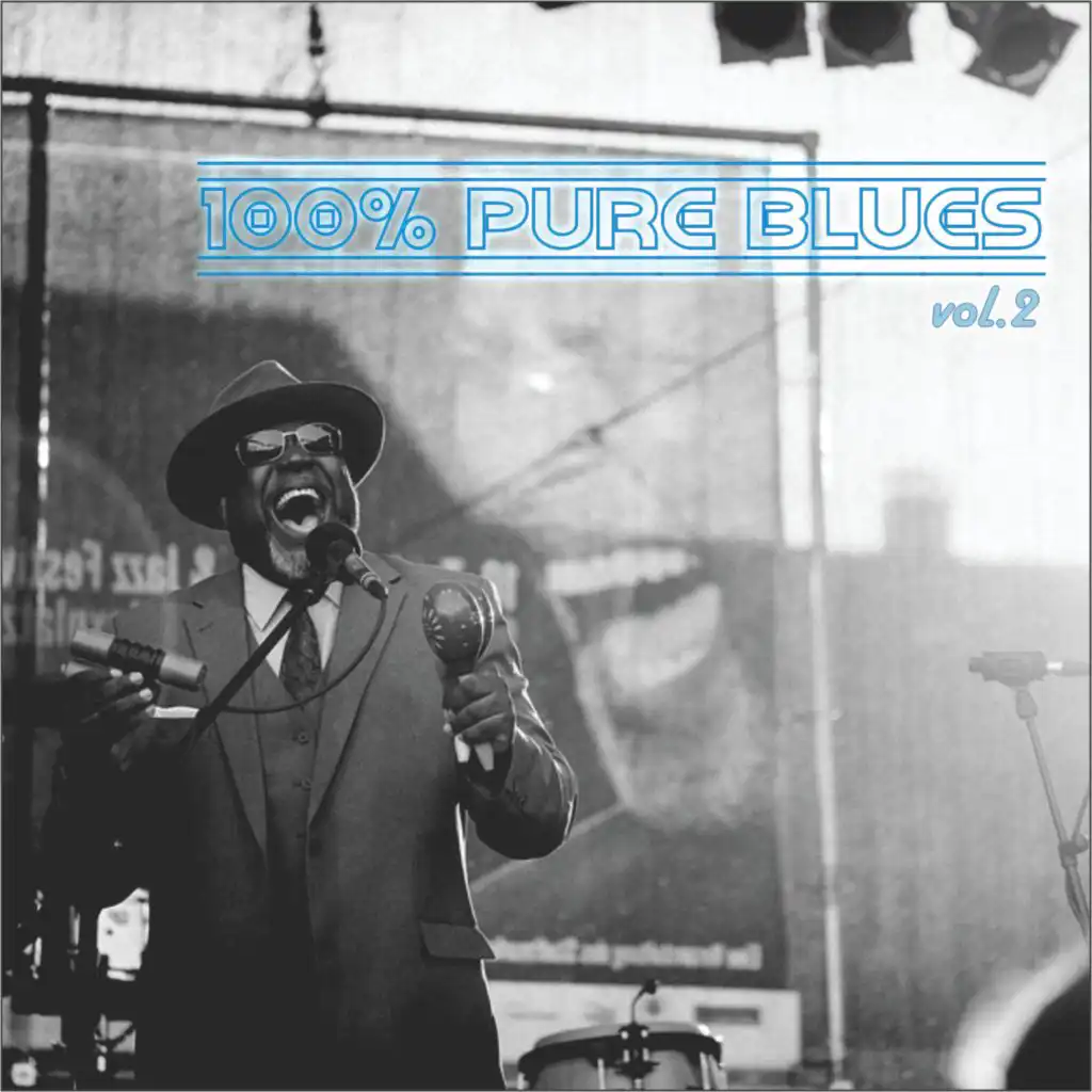 100% Pure Blues Vol 2