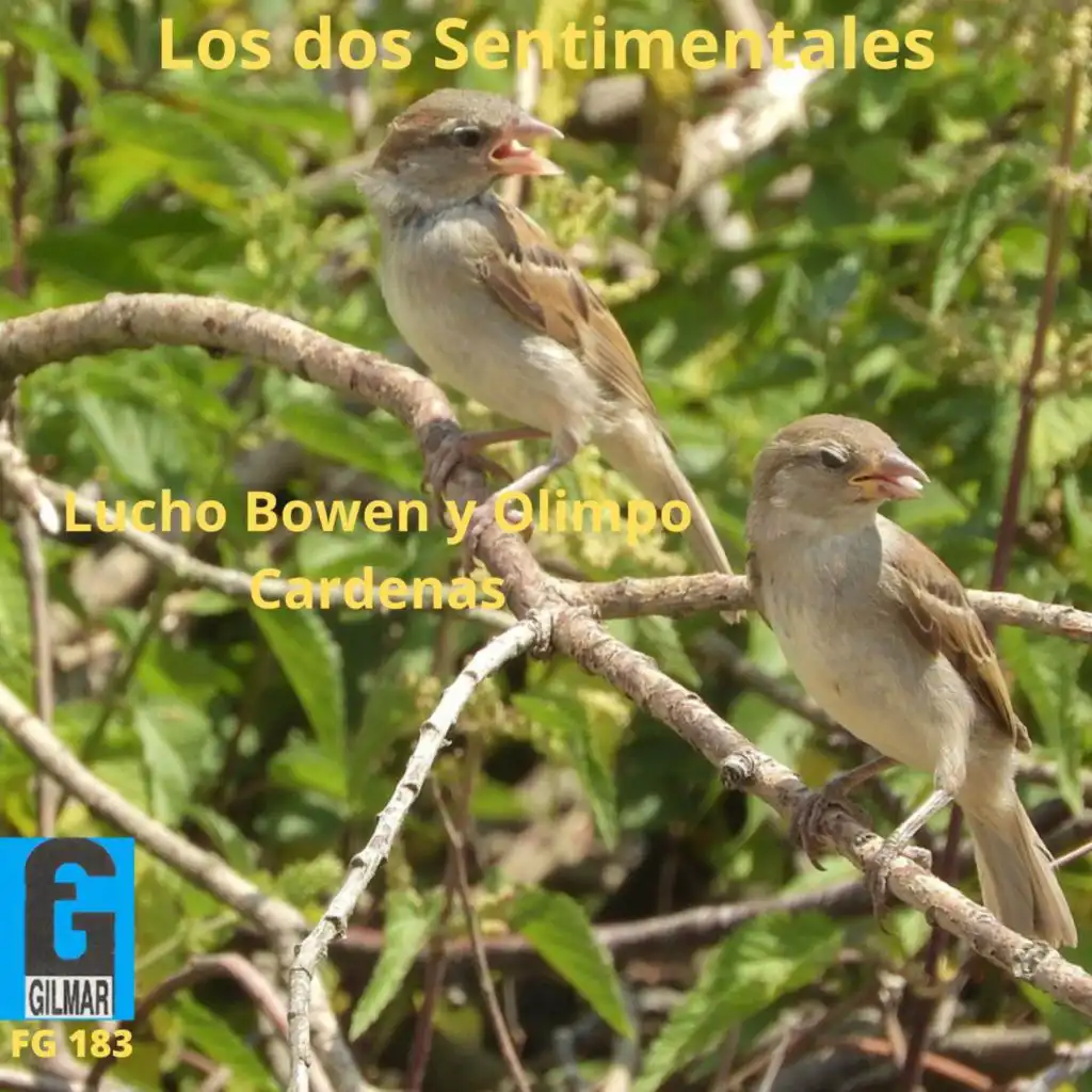 Los Dos Sentimentales