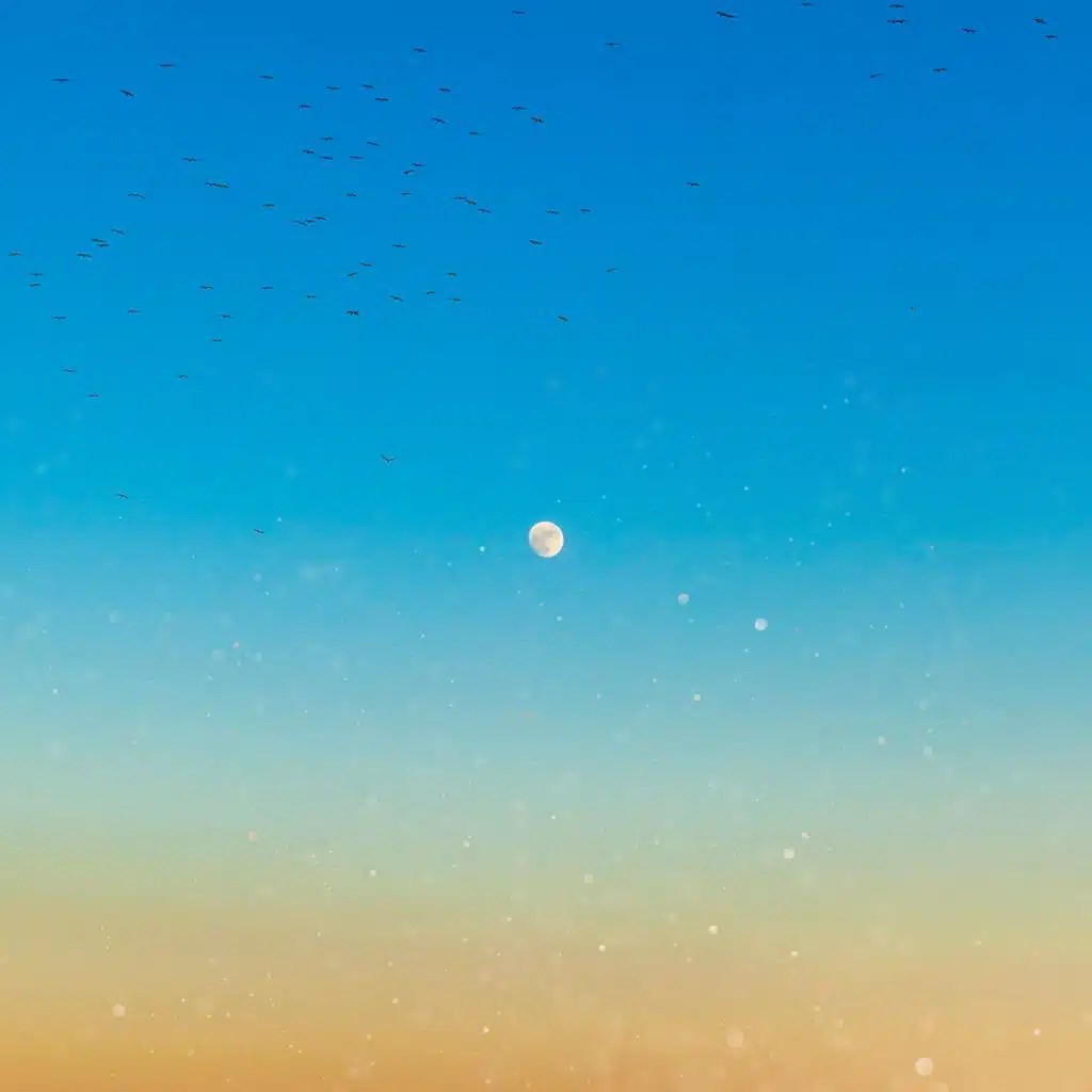 وَنَادَى أَصْحَابُ الْجَنَّةِ أَصْحَابَ النَّارِ