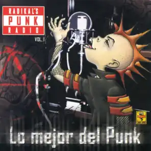 Radikal'S Punk Radio, Vol. 1