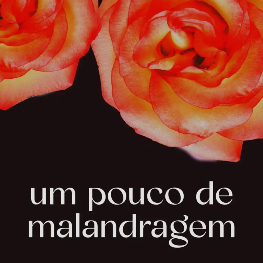 Um pouco de malandragem