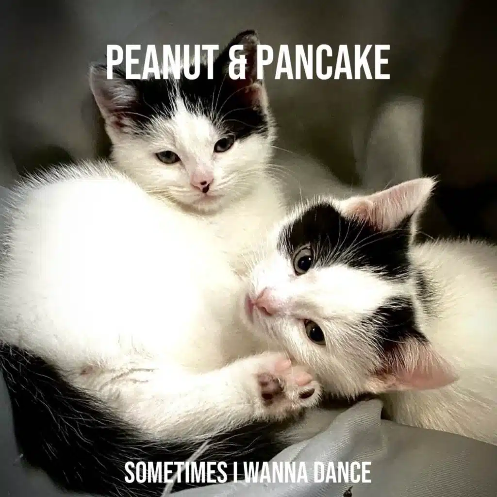 Sometimes I Wanna Dance