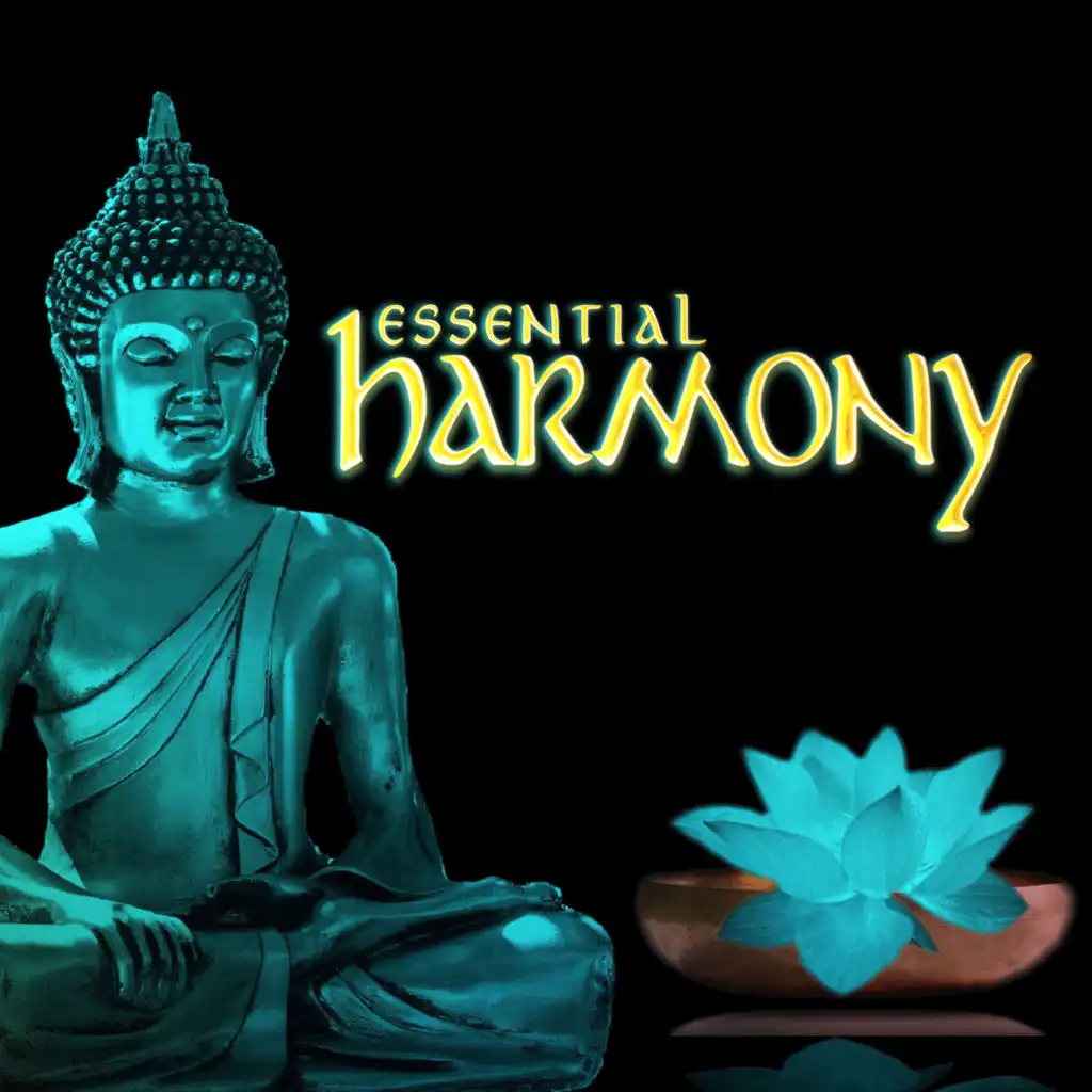 Essential Harmony