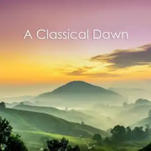 Bach - A Classical Dawn