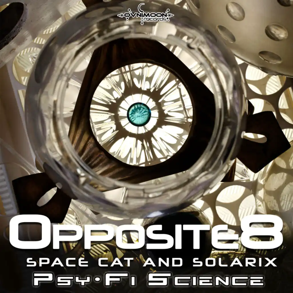 All About Forgiveness